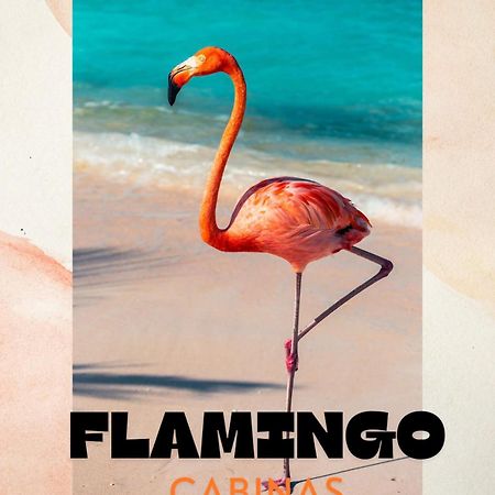 Cabinas Flamingo 普拉亚弗拉明戈 外观 照片